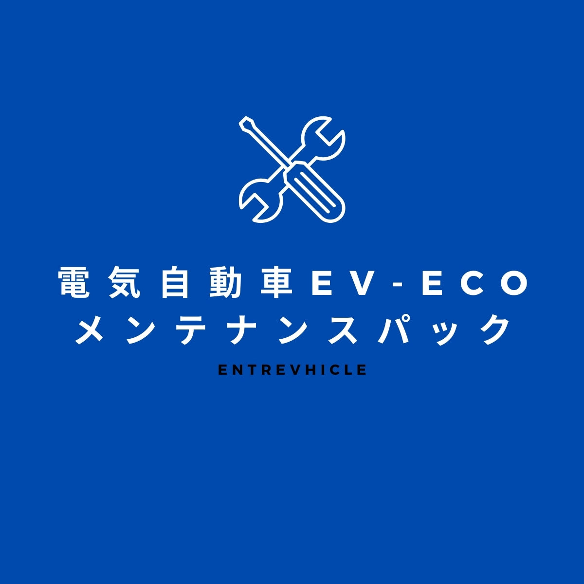 メンテナンスパック【EV-eCo専用】 EV車/電気自動車 超小型電気自動車