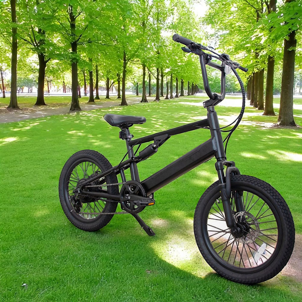 【予約特典50台限定5,000円OFF】電動アシスト自転車 E-BIKE BMX CYRQ サーク12月入荷予定