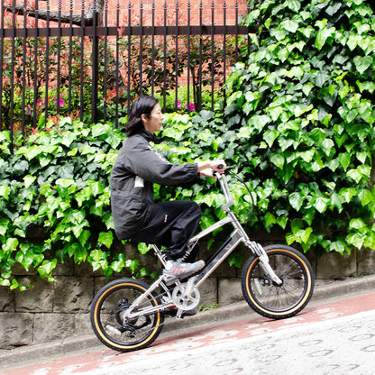 電動アシスト自転車 E-BIKE BMX CYRQ サーク クローム