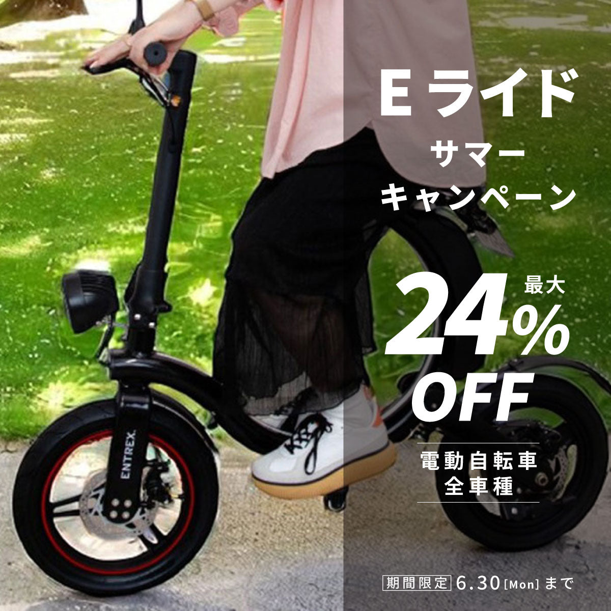 PHOENIX 電動自転車 ブラック キャリア付きジャック アクセサリー
