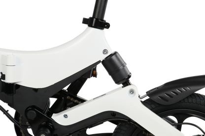 【ブラックフライデーキャンペーン　11月30日まで】E-BIKE  S6